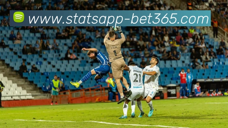 App Interface Preview